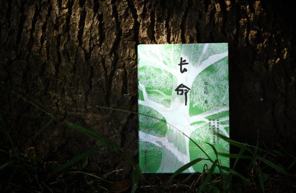 配资的论坛 刘亮程“天命”之作、继茅盾文学奖后首部长篇小说《长命》出版